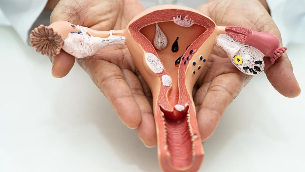 Colocação/Retirada de DIU/Implanon